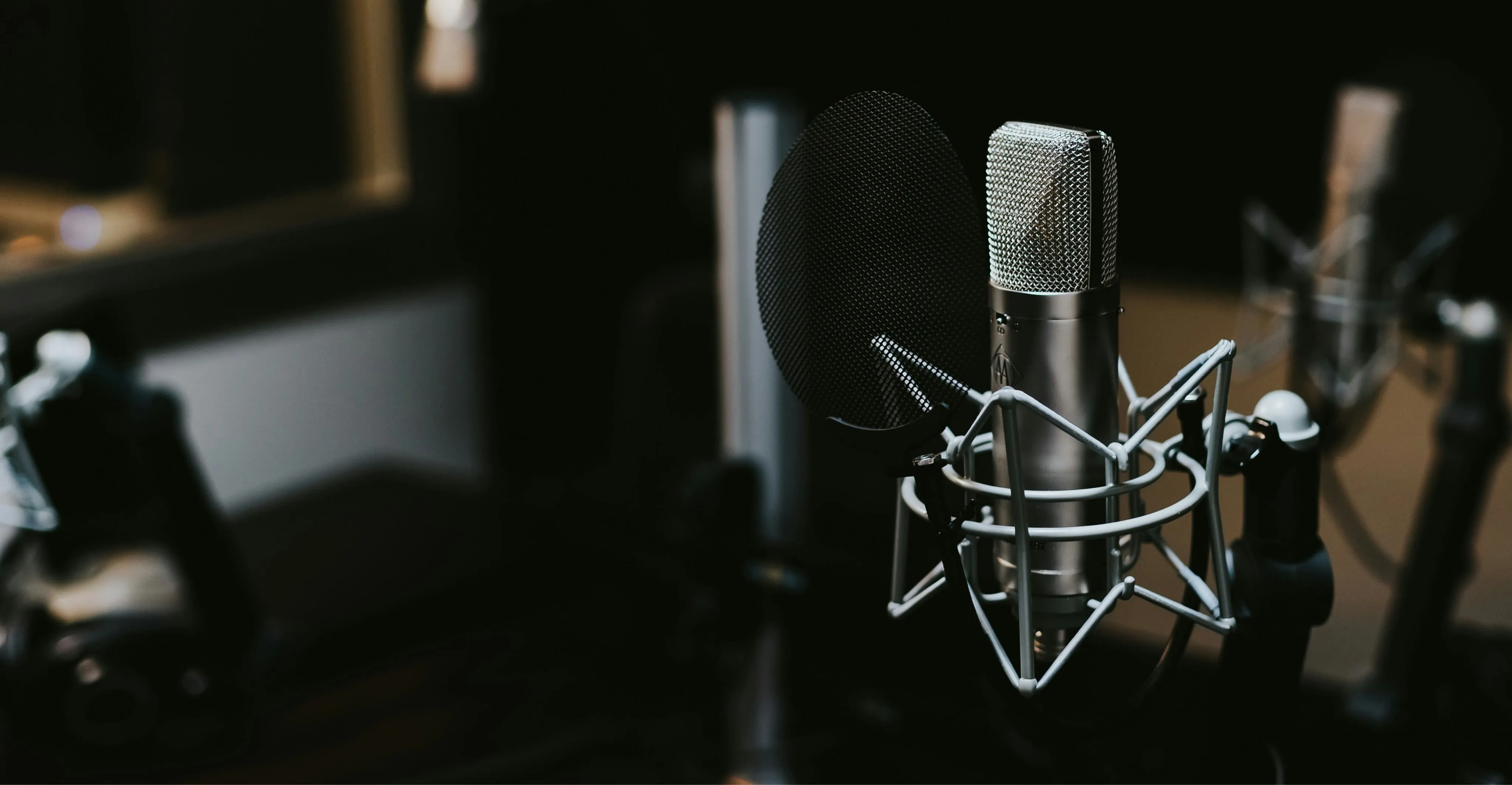 Tidal Accounting | a picture of a microphone used for podcasts
